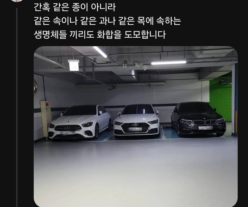 의외로 무리 생활을 한다는 존재들의 내용을 보여주는 이미지 관련 이미지 6