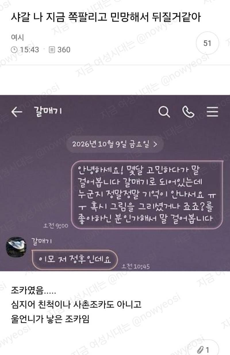나 지금 쪽팔리고 민망해서 뒤질거같아의 내용을 보여주는 이미지