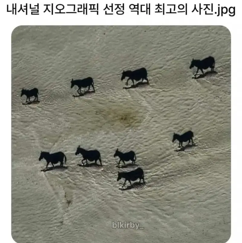 20261010162223_qDPtlJE1Bo.jpeg