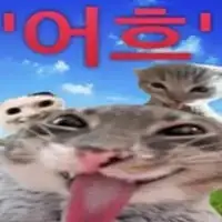 20261010234233_edNW0fAFmg.jpg