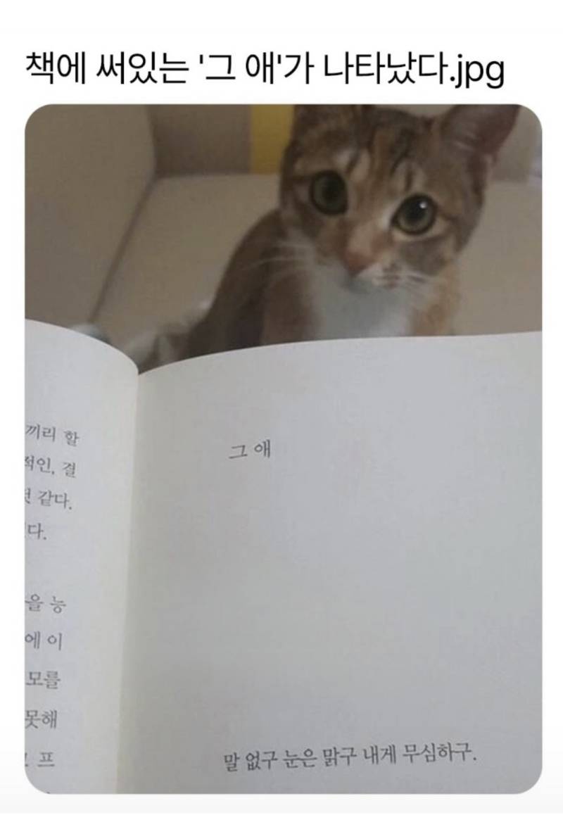 책에 적힌 “그 애” 가 나타남의 내용을 보여주는 이미지
