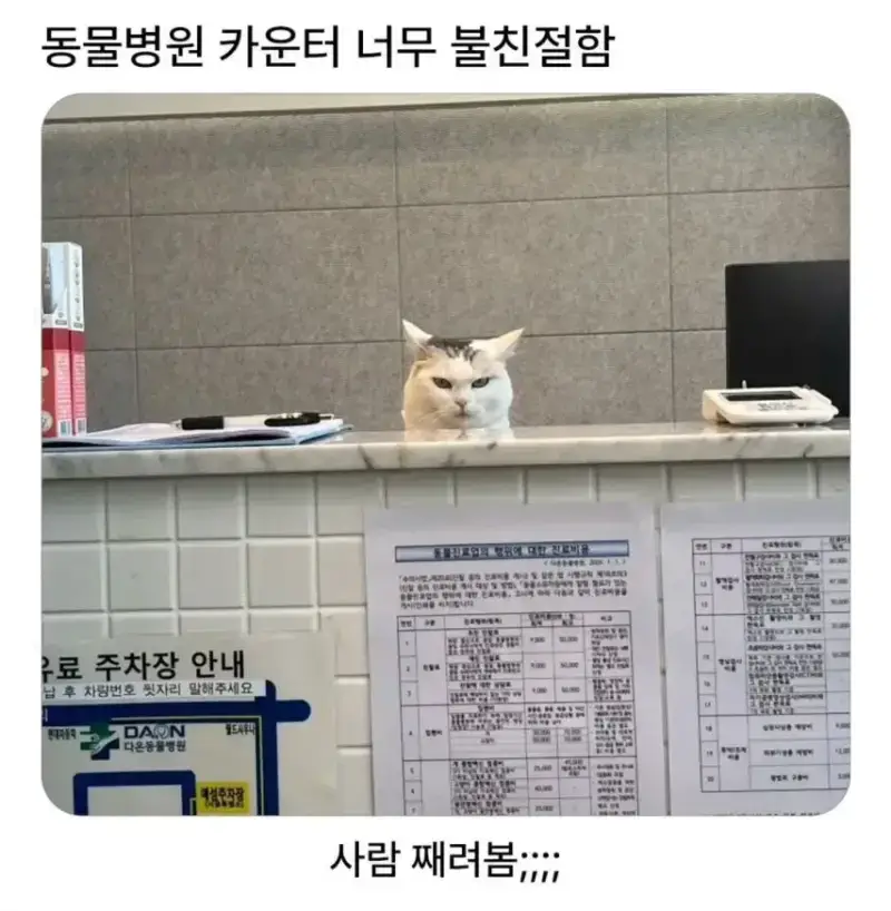 20261012080237_okoruRiGvn.webp