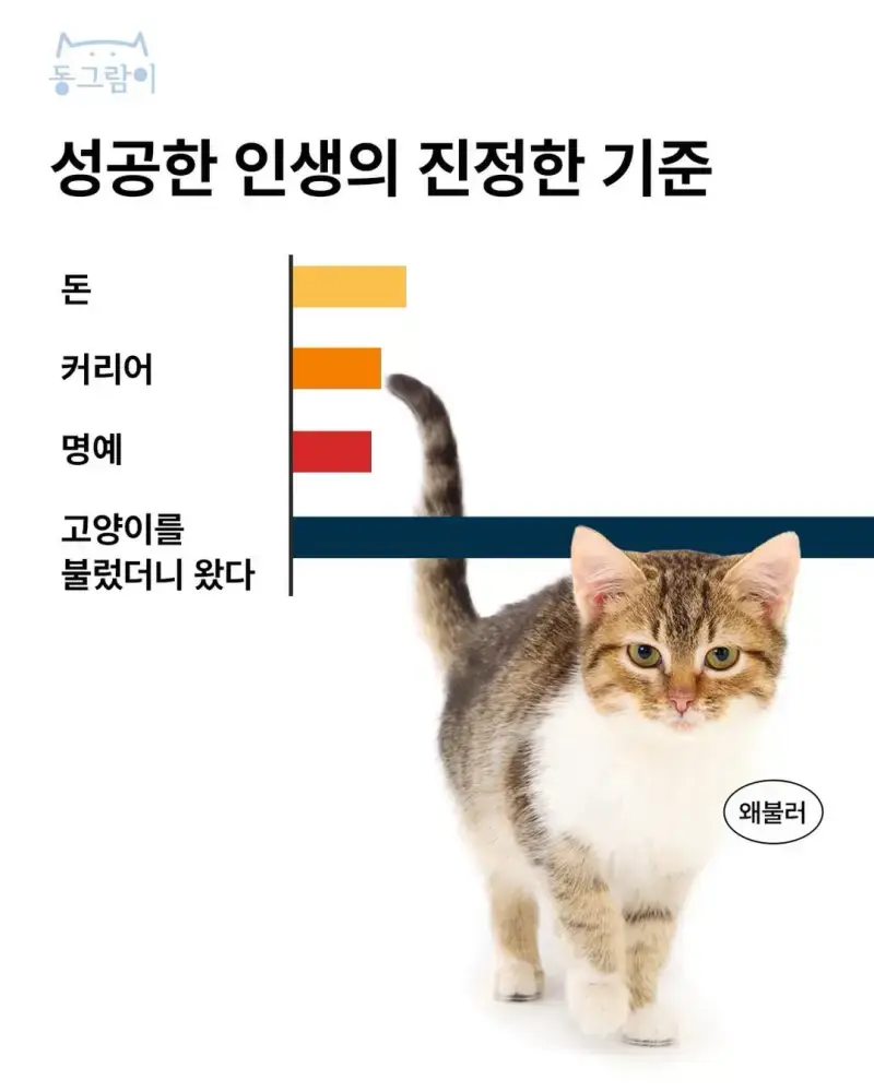 1rxDsfdAdqMAueAKMYWiAU.webp