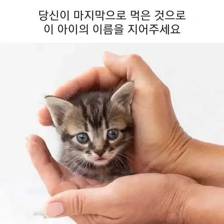 4PjUOKMcIMaieYWSiweq8e.webp