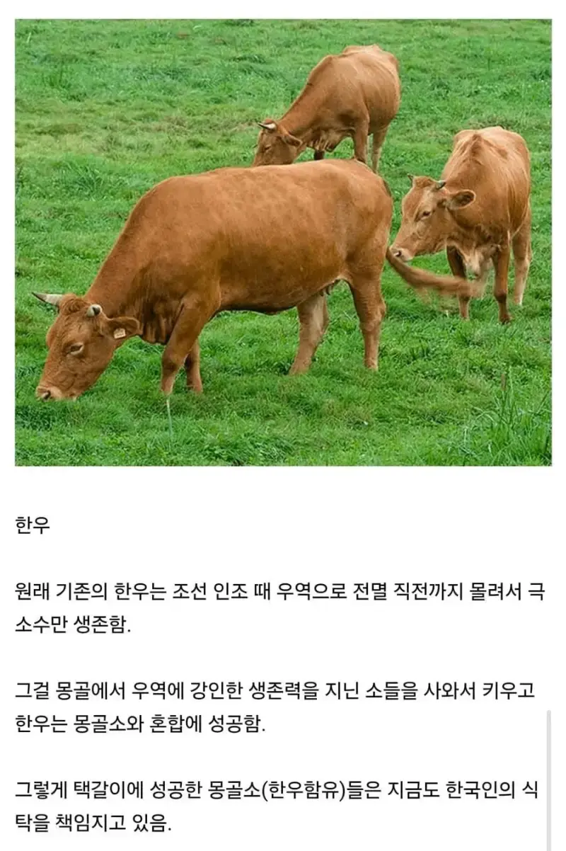 20261012190453_Ku10RXlDxf.jpg