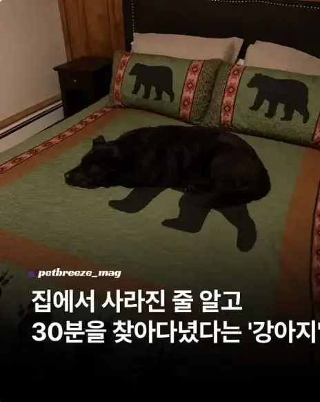 20261012155253_Ge3sOU8djZ.png