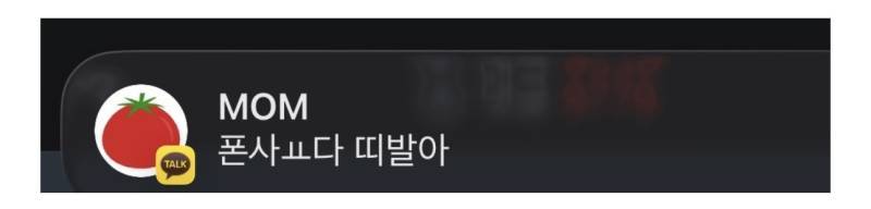 아 개웃겨 엄마폰사는거 같이 안가줬는데의 내용을 보여주는 이미지