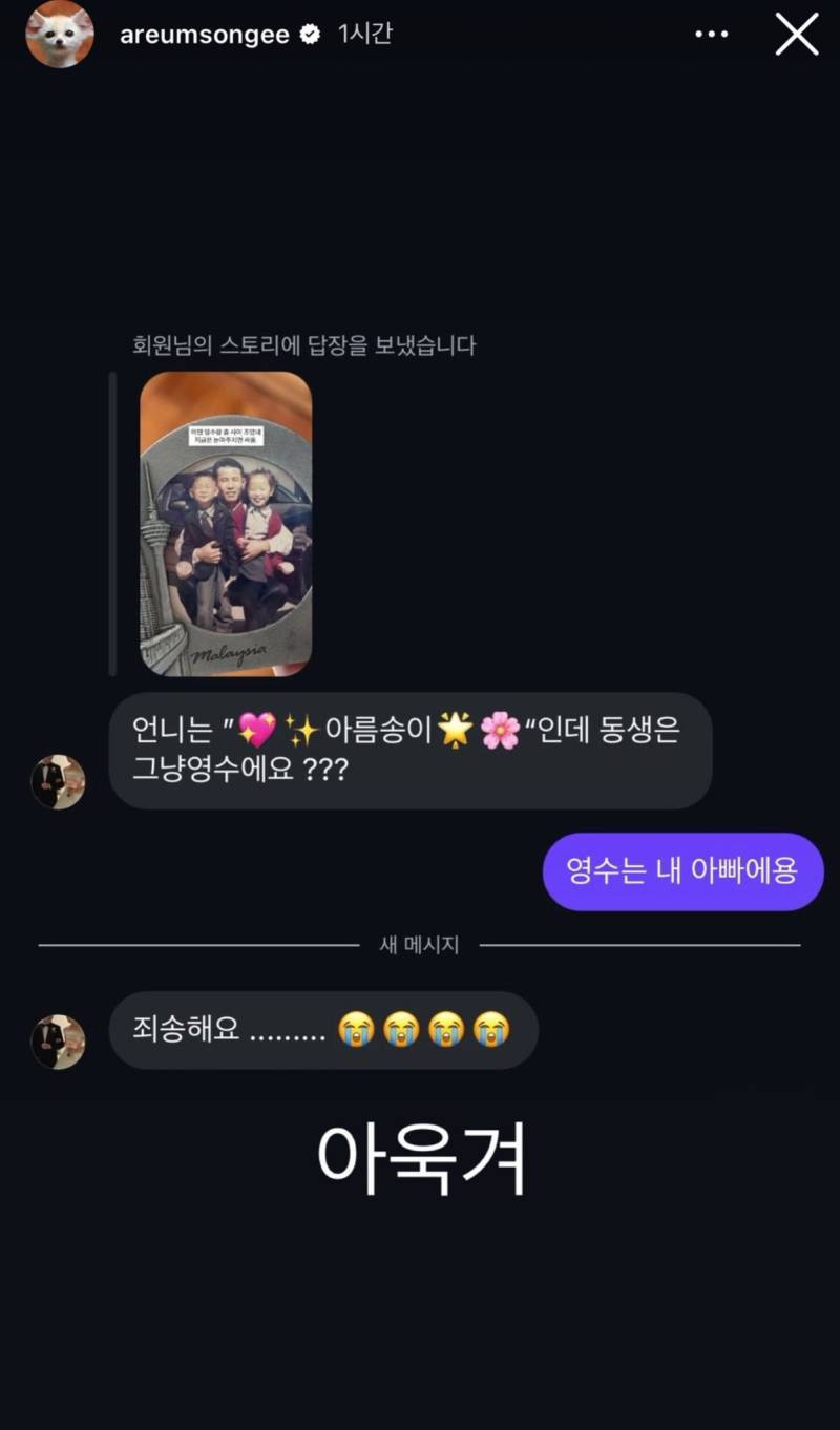 언니는 ❤✨아름송이💕🔆인데 동생은 그냥 영수에요??의 내용을 보여주는 이미지 관련 이미지 2