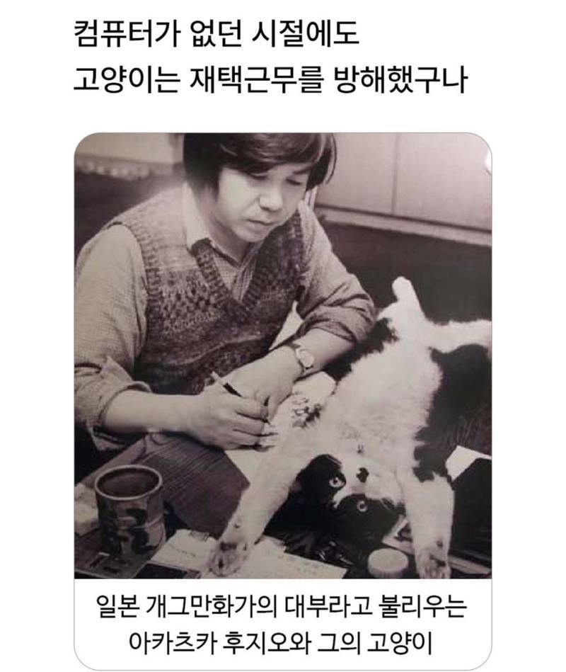 4g8KsAwO400ig8c8eWiiY6.jpg