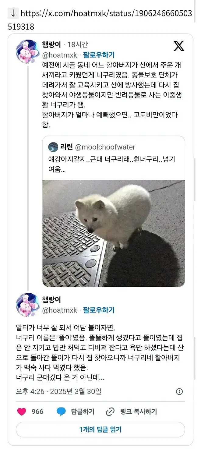 얘 강아지 같지.. 근데 아님의 내용을 보여주는 이미지