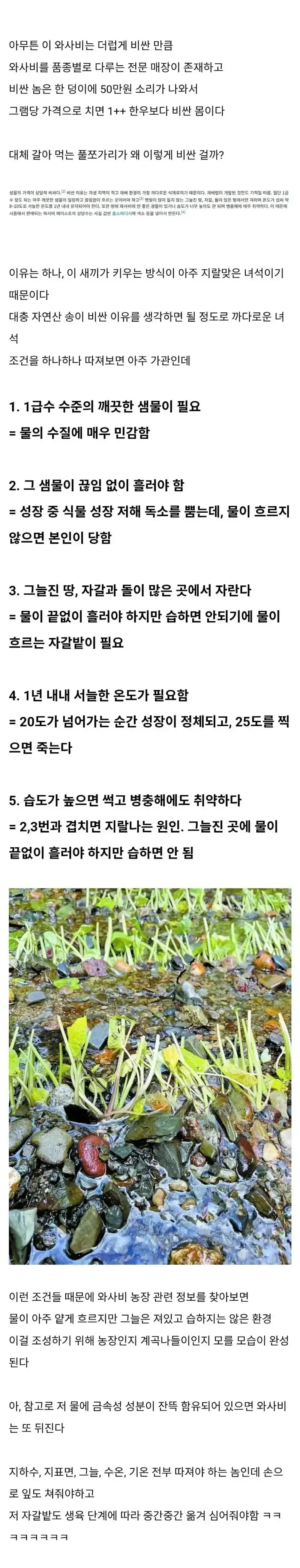 20260719194558_z6jeJylTbD.webp