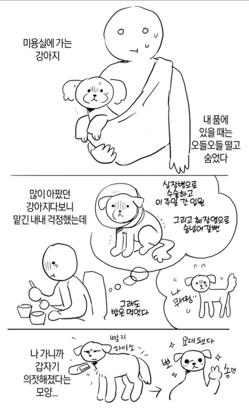 "마 빨리 하이소"의 내용을 보여주는 이미지