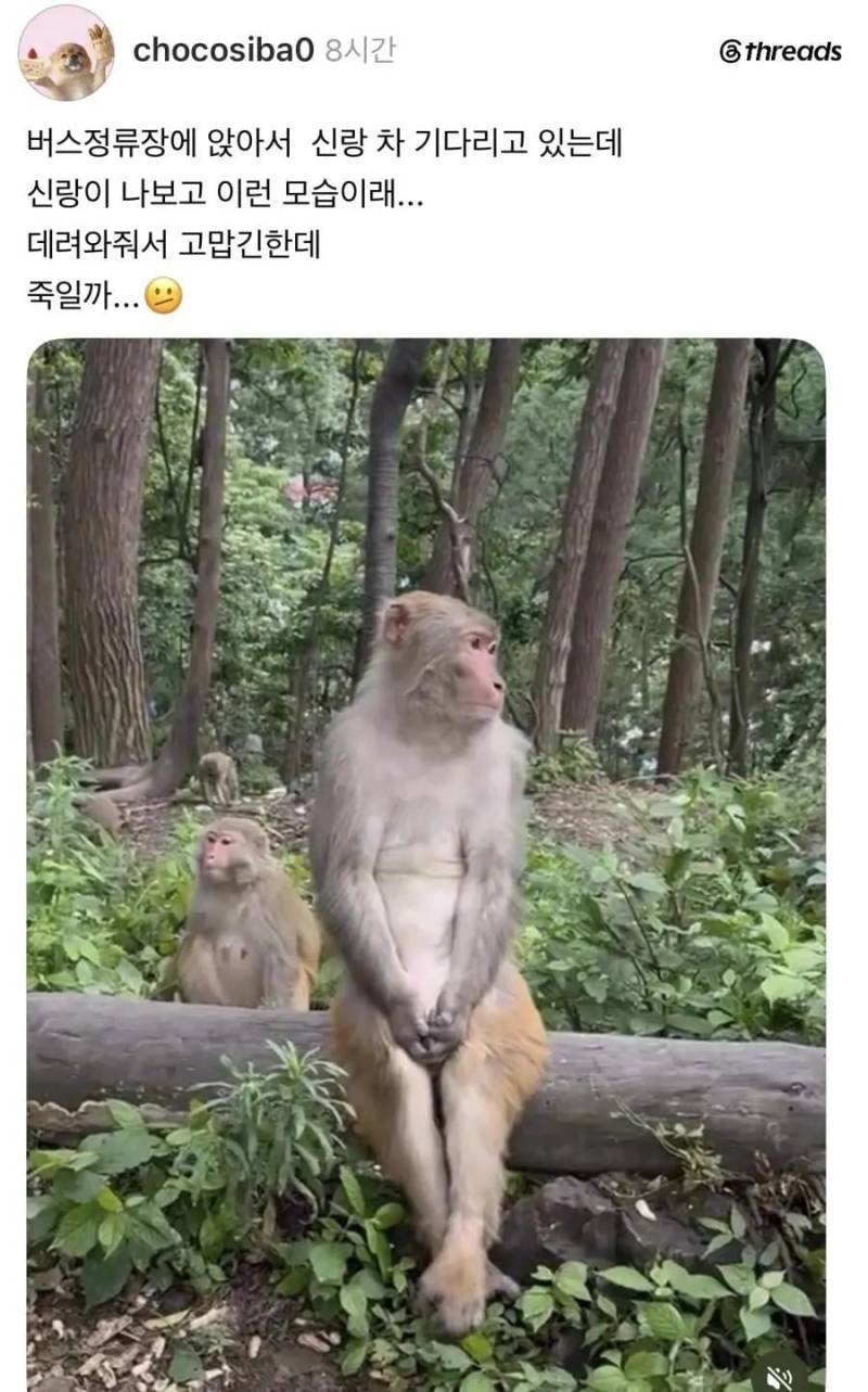 남편차 기다리는 아내 모습의 내용을 보여주는 이미지