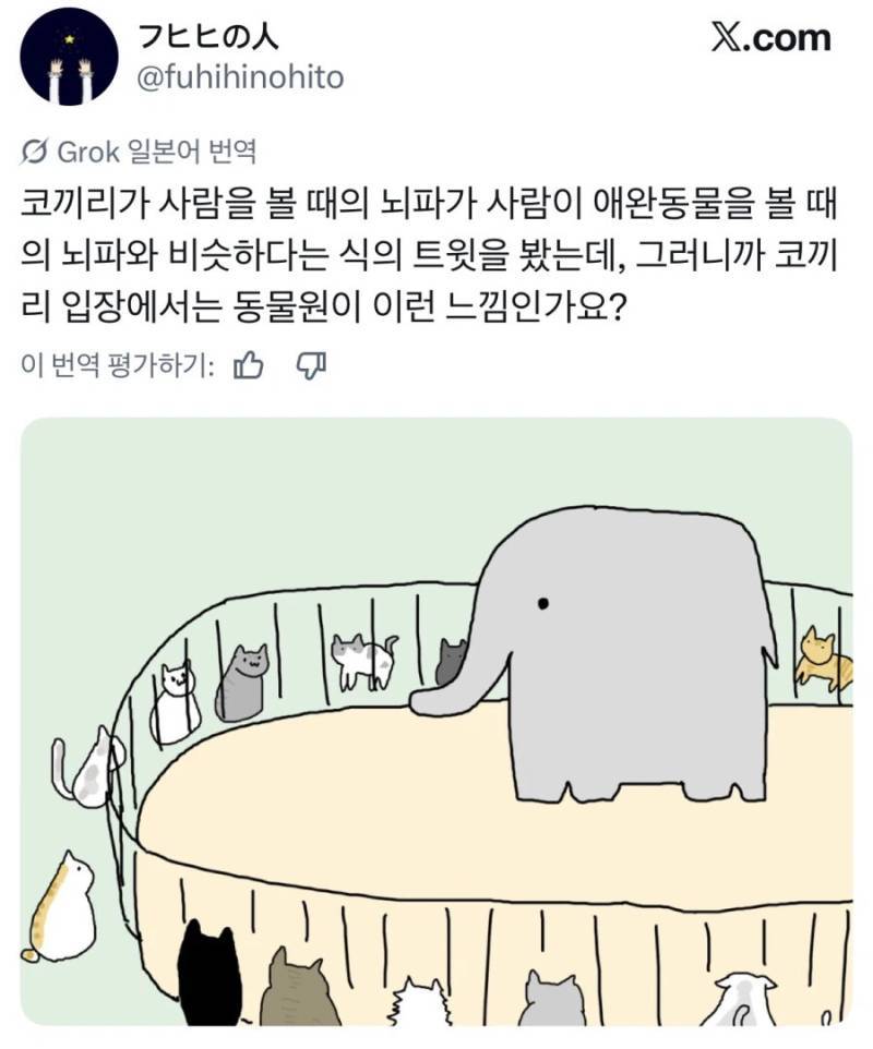 동물원에서 사람이 오면 제일 기뻐하는 동물의 내용을 보여주는 이미지 관련 이미지 2