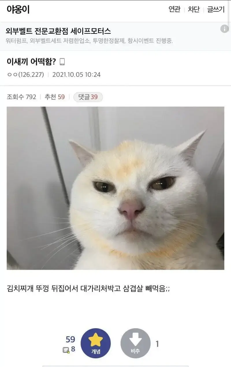 54HcxLryFWiUAqG4KG2O8m.webp