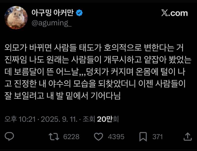 외모 땜시 살기 편해짐의 내용을 보여주는 이미지