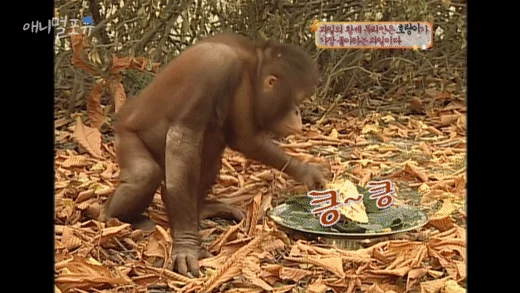 엄마가 만든 바나나빵 먹어보는 아기의 내용을 보여주는 이미지