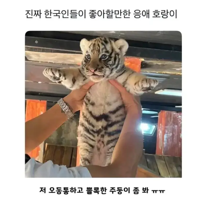 20260725211100_5jmZBaOkAE.webp
