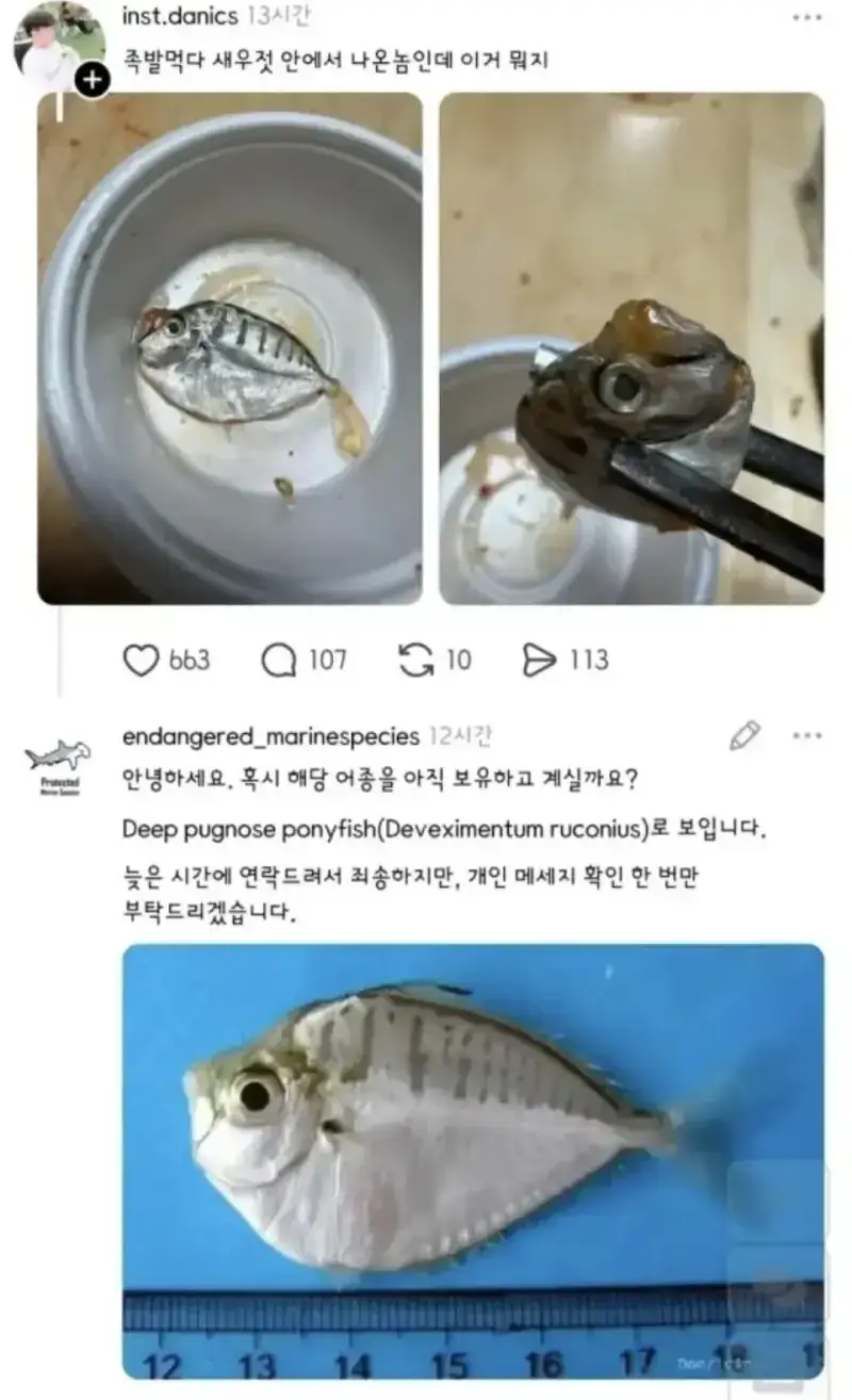 20260726094701_oJaiKdL4OU.webp