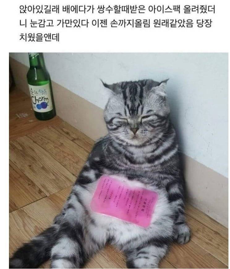 20260727141834_v6LzmdExEI.png