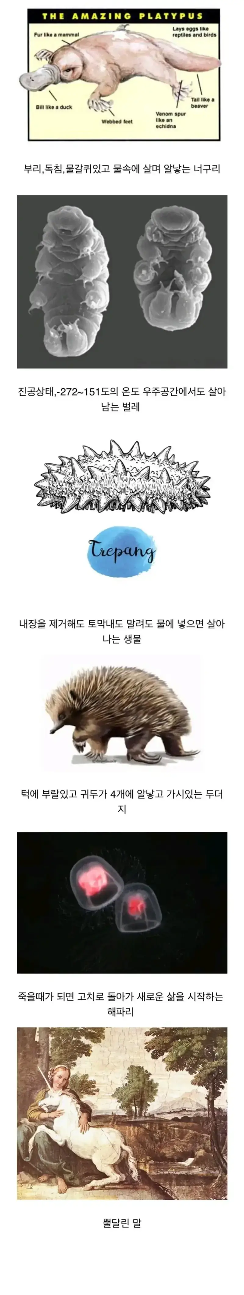 20260728091404_1spa7McIuX.webp