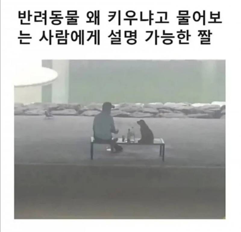 20260729000441_qGCyN736ao.jpg