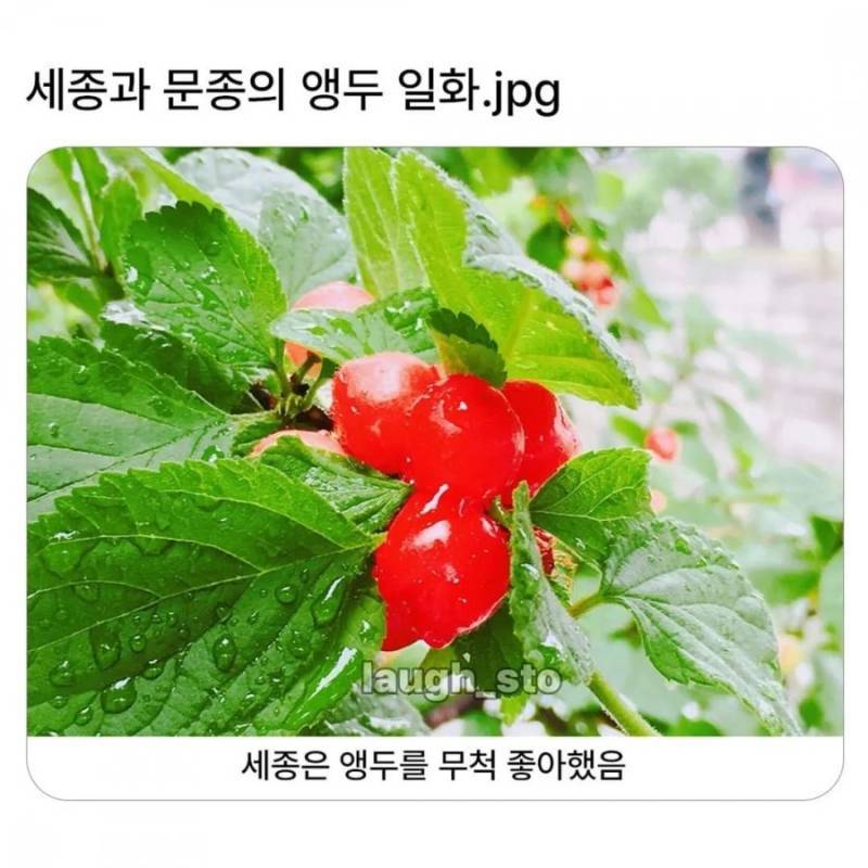 20260728234704_pV4da2duYj.webp