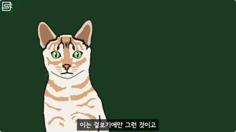 20260728215416_gAT4X6hfK7.webp