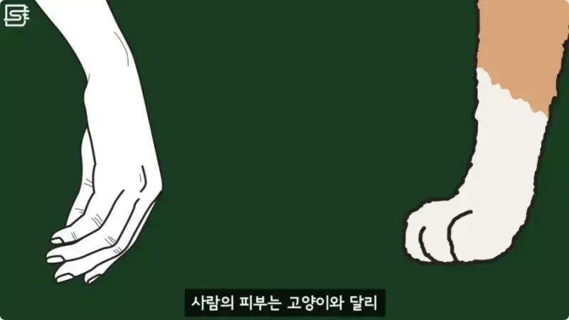 20260728215416_o1X7NCkgxd.webp