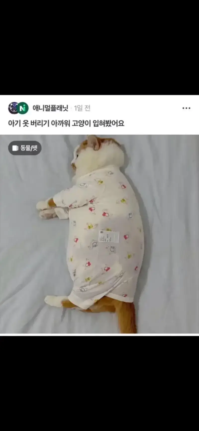 20260729085906_hThdQtL4hH.webp