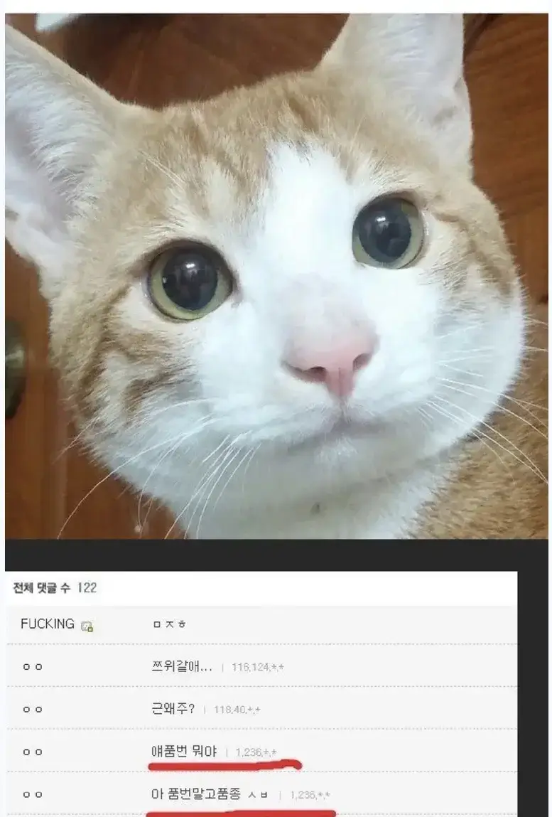 20260729184119_gfHGQxer0h.webp