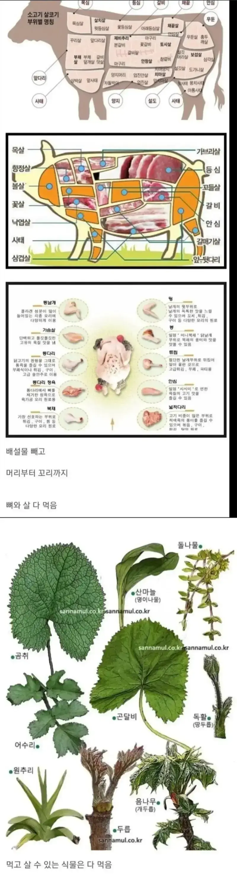 20260729131424_25H6HyOpX9.webp