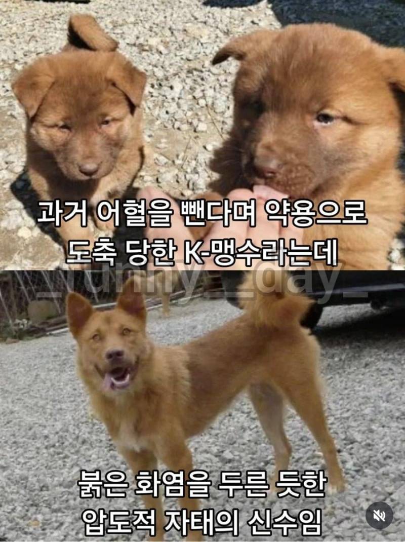 20260730170142_n6MRtKoVS2.jpg