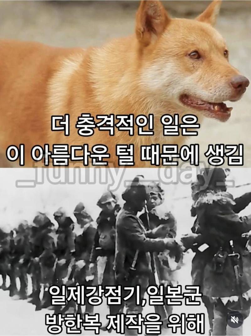 20260730170209_hNlIWGQuZN.jpg