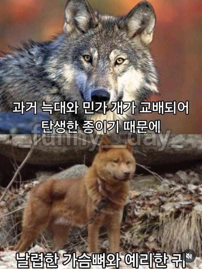 20260730170324_LS25hqrQDN.jpg