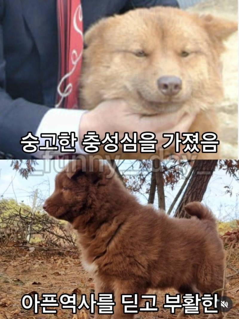 20260730170536_jImTCao2zn.jpg