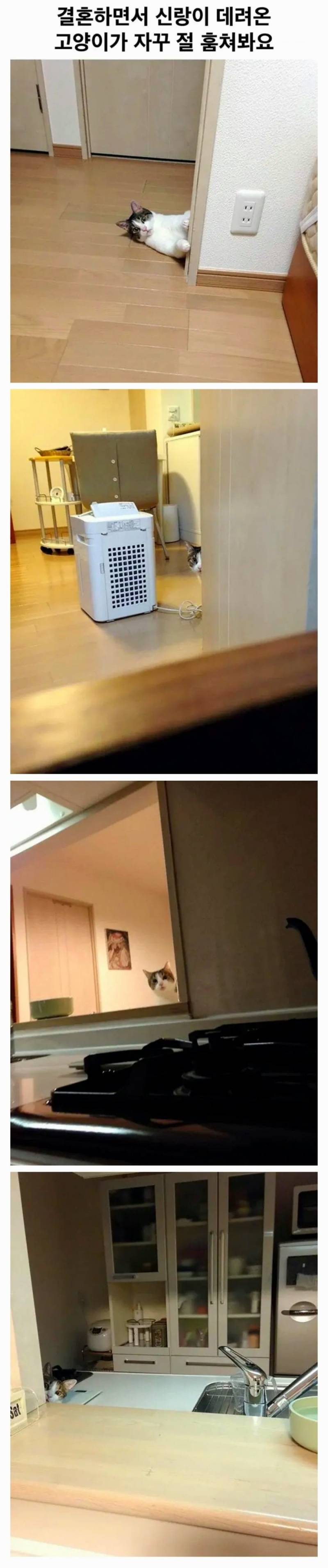 20260730124752_VWZnMkZ03o.jpg
