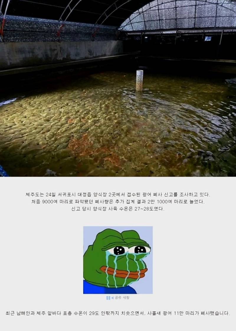 20260731153135_Zp88bObAMU.jpg