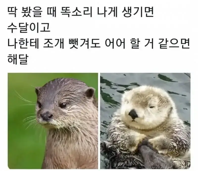 20260731201926_F2iuoeJLmQ.webp