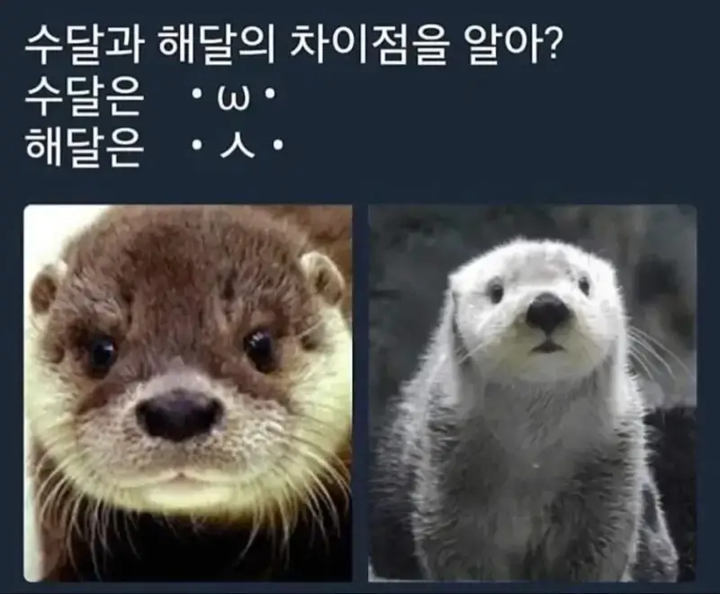 20260731201931_sRfeHV14GU.webp