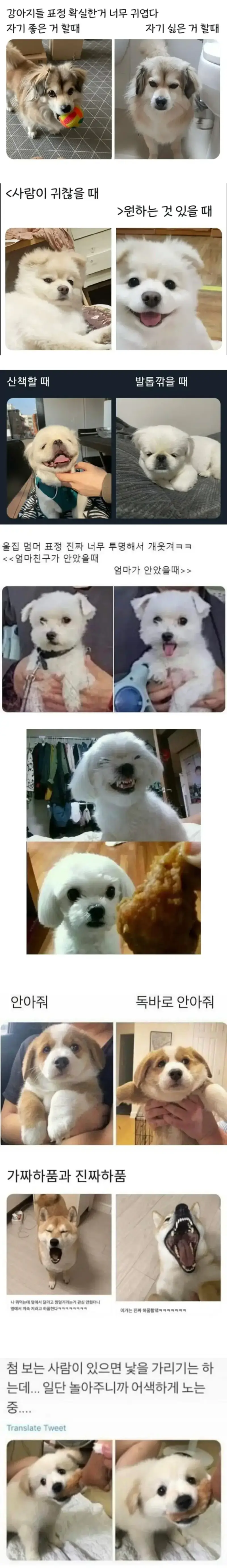 20260801094835_fG0nhDKU5C.webp