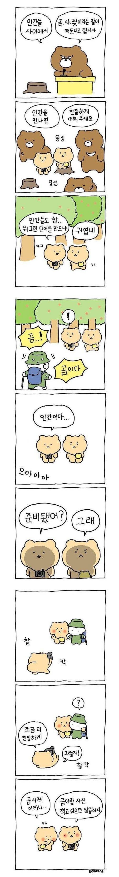 곰은 사람을 찢어의 내용을 보여주는 이미지