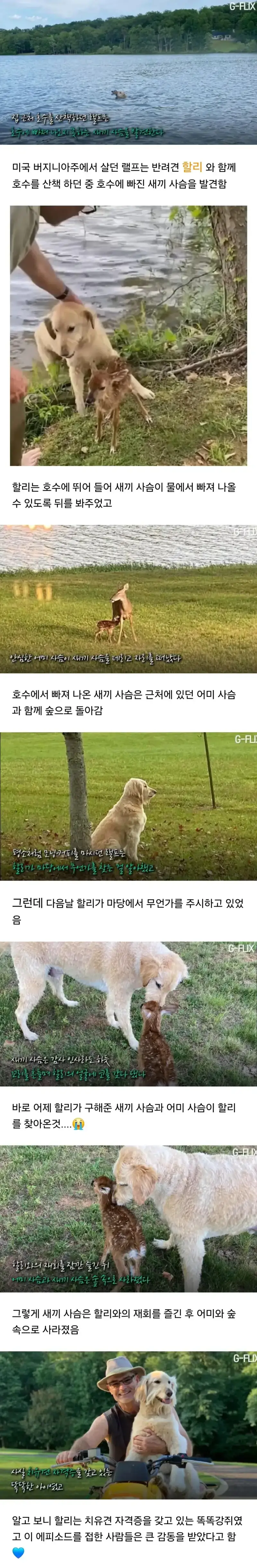 20260803212239_ukcI4TXJT5.webp