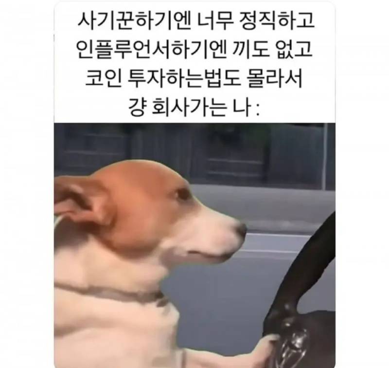 20260804000223_SYajBkGuIR.jpg