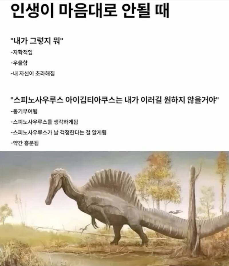 20260804213411_zsJK3PZObP.png