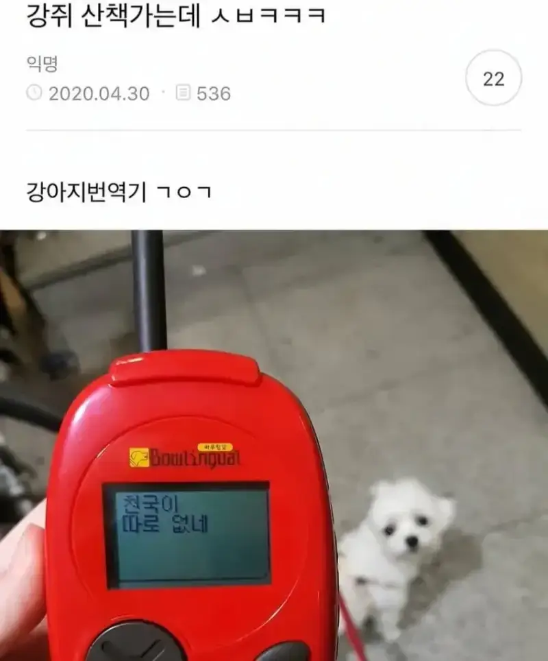 20260804211627_k2YjDKzHwb.webp