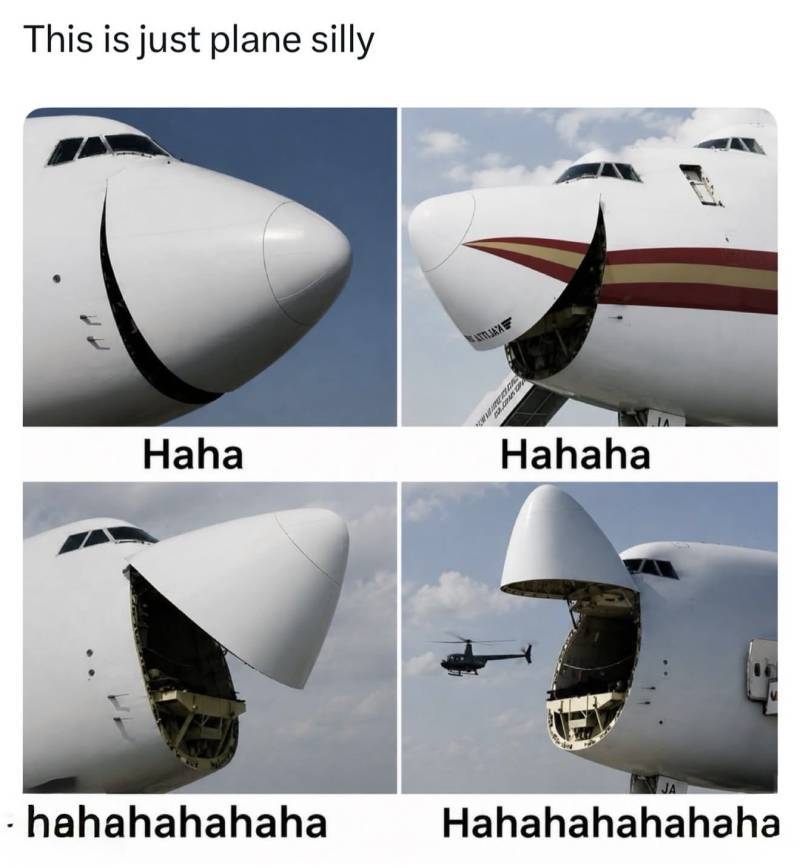 1Sw0MNF1XiiAuAwaSkSqIs.jpg
