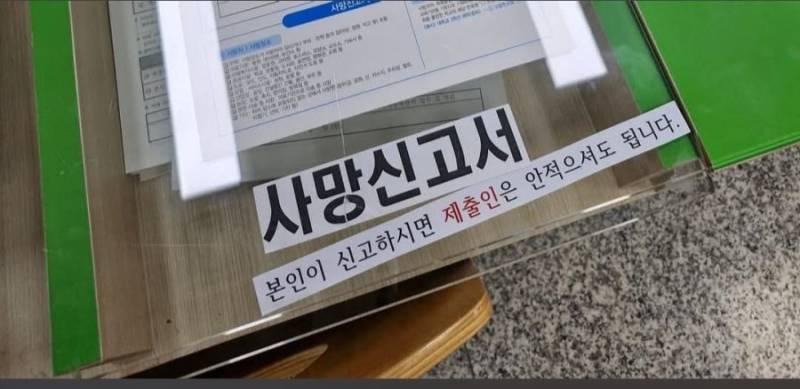 20260805084836_sjJi9ZiZME.jpg