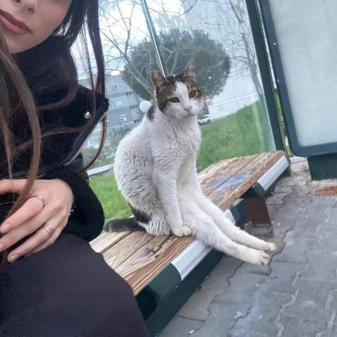 7KhZg08VX2GOI02y8UKyIa.jpg