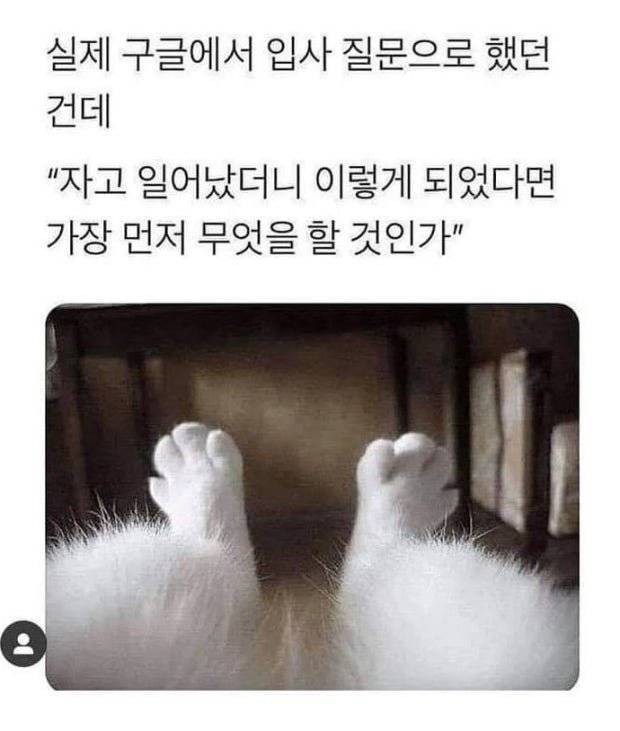 20260806173442_VJhK9zDj4h.jpeg